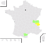 Alchemilla trunciloba Buser - carte de répartition