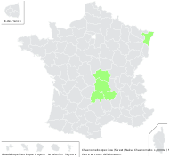 Cydonia lagenaria Loisel. - carte de répartition