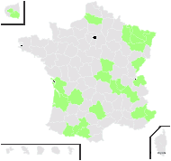 Aster novae-angliae L. - carte de répartition