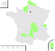 Fragaria ×ananassa (Weston) Duchesne - carte de répartition