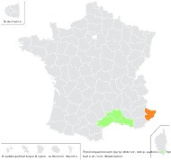 Tripolium pannonicum (Jacq.) Dobrocz. subsp. pannonicum - carte de répartition