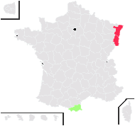 Geum ceretanicum Sennen - carte de répartition