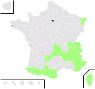 Geum montanum L. - carte de répartition