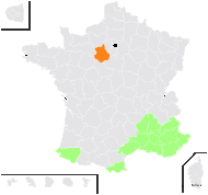 Aster pastuchovii (Kem.-Nath.) Tzvelev - carte de répartition