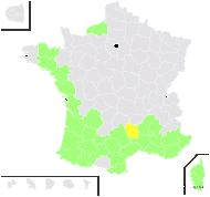 Aster barcinonensis Sennen - carte de répartition