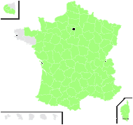 Dynamidium syeniteum (Jord.) Fourr. - carte de répartition