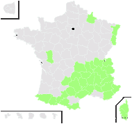 Potentilla rupestris L. - carte de répartition