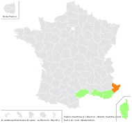 Pallenis maritima (L.) Greuter - carte de répartition