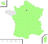 Padus mahaleb (L.) Borkh. - carte de répartition