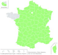 Prunus mahaleb L. - carte de répartition
