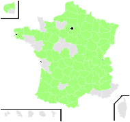 Padus vulgaris Borkh. - carte de répartition
