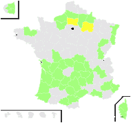 Persica communis Dum.Cours. - carte de répartition