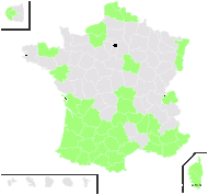 Timbalia pyracantha (L.) Clos - carte de répartition