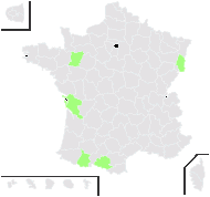 Rosa calva (Franch. & Sav.) Boulenger - carte de répartition