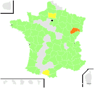 Rosa altaica Willd. - carte de répartition