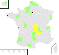 Rosa regeliana Linden & André - carte de répartition