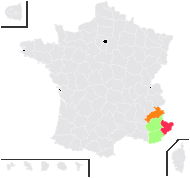 Rosa viscaria var. ligustica (H.Christ) Rouy & E.G.Camus - carte de répartition