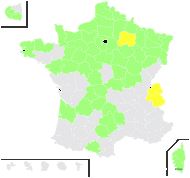 Rubus macrophyllus Weihe & Nees - carte de répartition