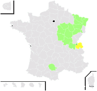 Rubus menkei Weihe - carte de répartition