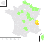 Rubus pallidus Weihe - carte de répartition