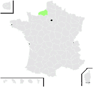 Rubus promachonicus A.Beek - carte de répartition