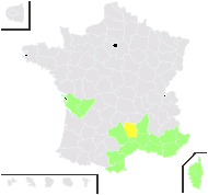 Bellis sylvestris Cirillo - carte de répartition