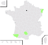 Rubus thyrsiflorus Weihe - carte de répartition