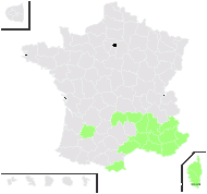 Poterium spachianum Coss. - carte de répartition