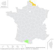 Spiraea tomentosa L. - carte de répartition