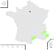 Asperula ×jordanii E.P.Perrier & Songeon - carte de répartition