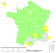 Bidens cernua L. - carte de répartition