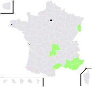 Crucianella monspeliensis Hill - carte de répartition