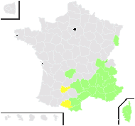 Galium mollugo subsp. corrudifolium (Vill.) Rouy - carte de répartition