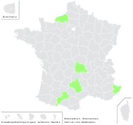 Bidens pilosa L. - carte de répartition