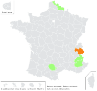 Galium rubioides L. - carte de répartition