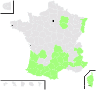 Galium ×bechii Sennen - carte de répartition