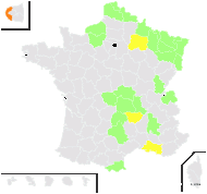 Galium ×ochroleucum J.P.Wolff ex Schweigg. - carte de répartition