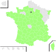 Rubia peregrina L. - carte de répartition