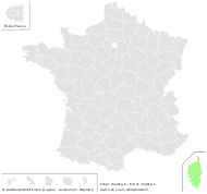 Citrus medica L. - carte de répartition