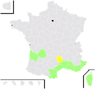 Ruta chalepensis L. - carte de répartition