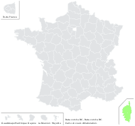 Ruta corsica DC. - carte de répartition