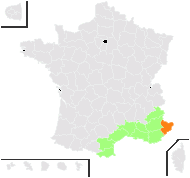 Ruta graveolens var. montana L. - carte de répartition