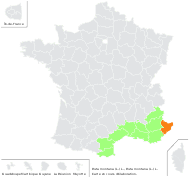 Ruta montana (L.) L. - carte de répartition