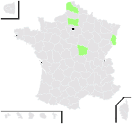 Populus tacamahacca Mill. - carte de répartition