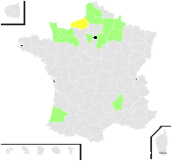 Salix schultziana Willd. ex Link - carte de répartition