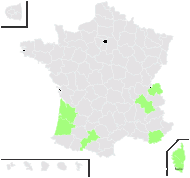 Salix tenuiflora Host - carte de répartition