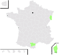 Thesium kyrnosum Hendrych - carte de répartition