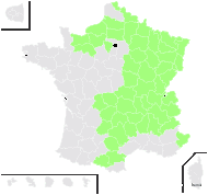 Chrysosplenium nivale Schur - carte de répartition