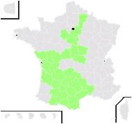 Carthamus mitissimus L. - carte de répartition