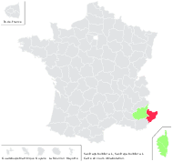 Saxifraga bulbifera L. - carte de répartition